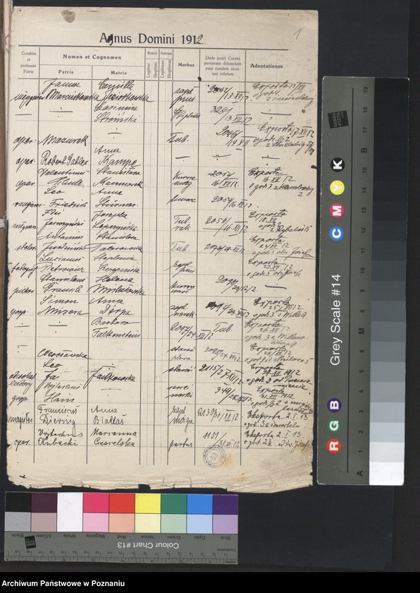 Obraz 3 z jednostki "Indeks zgonów"