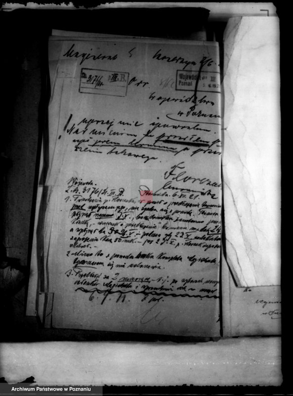 Obraz 9 z jednostki "Administracja miasta Kostrzyna"