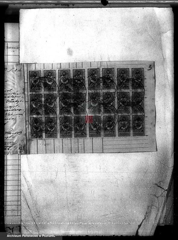 Obraz 7 z jednostki "Majętność leśna Sokołowice powiat kościański"