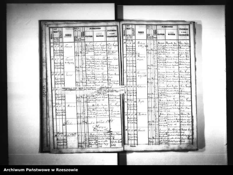 image.from.unit.number "Księga urodzeń - Siedliska"