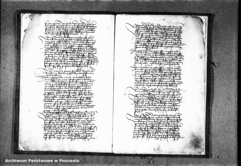 Obraz 10 z jednostki "Inscriptiones, relationes, decreta [protocollon]"