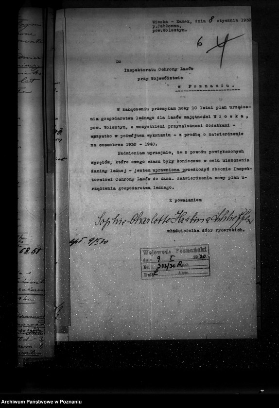 Obraz 10 z jednostki "Majętność leśna Wioska powiat wolsztyński"