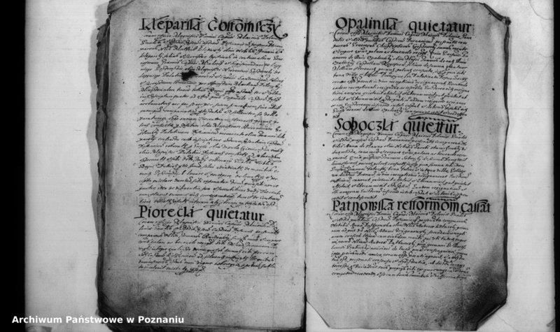 Obraz 9 z jednostki "Inscriptiones [inducta]"