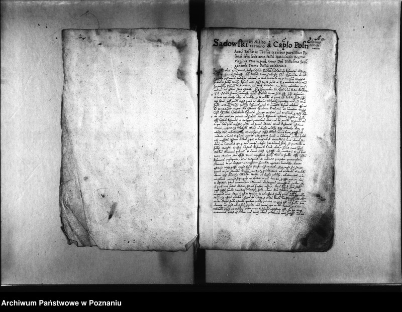 Obraz 5 z jednostki "Decreta [inducta]"