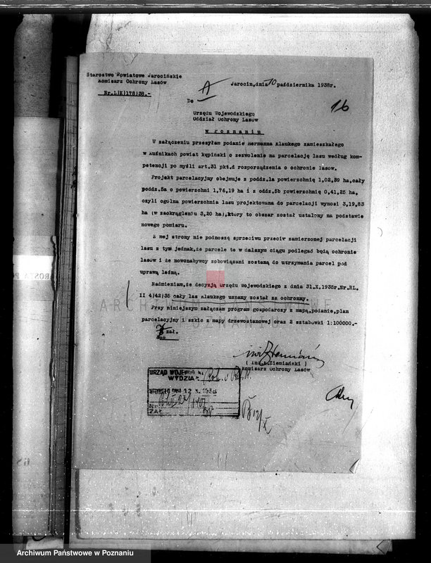 Obraz 20 z jednostki "Lasy majątku Kuźniki powiatu kępińskiego"