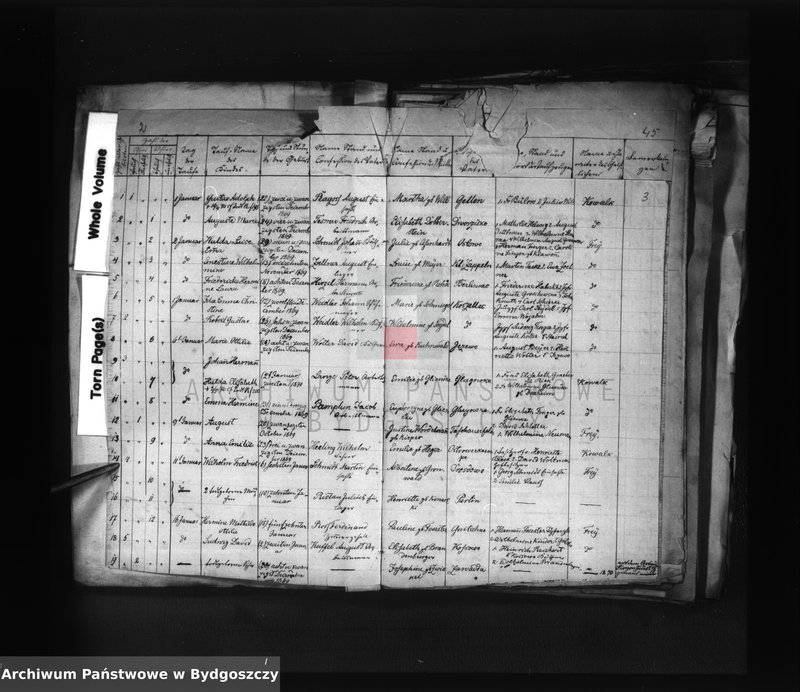 image.from.unit "Akta urodzeń, ślubów, zgonów"