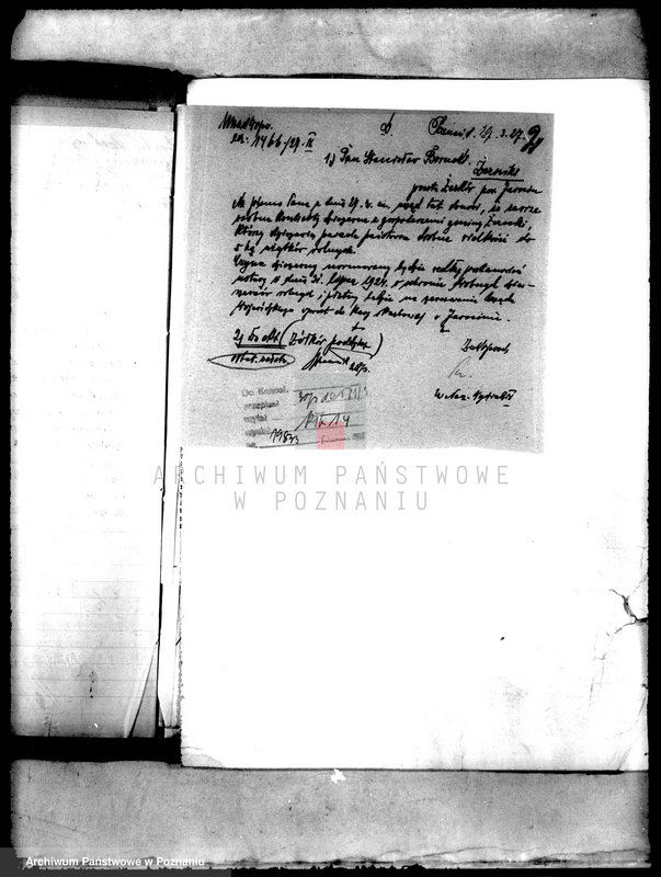 Obraz 6 z jednostki "Poddzierżawcy majątku państwowego Żółków"