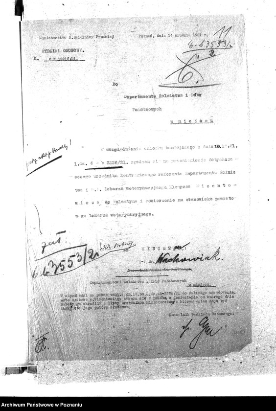 Obraz 17 z jednostki "Pow. lekarz Weterynaryjny Wolsztyn"