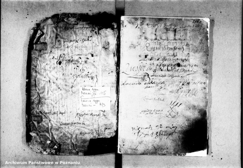 Obraz 4 z jednostki "Inscriptiones, relationes [inducta]"