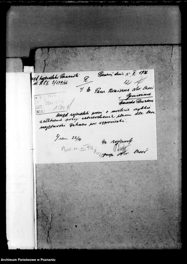 Obraz 16 z jednostki "Majętność leśna Zakrzewo powiat wągrowiecki"