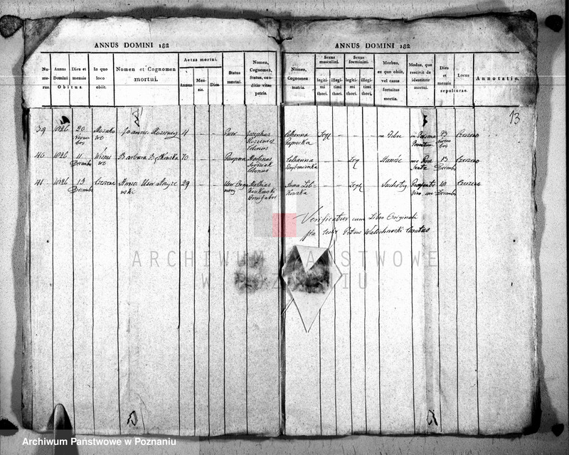 Obraz 14 z jednostki "Duplikat baptisatorum, copulatorum u. mortuorum"
