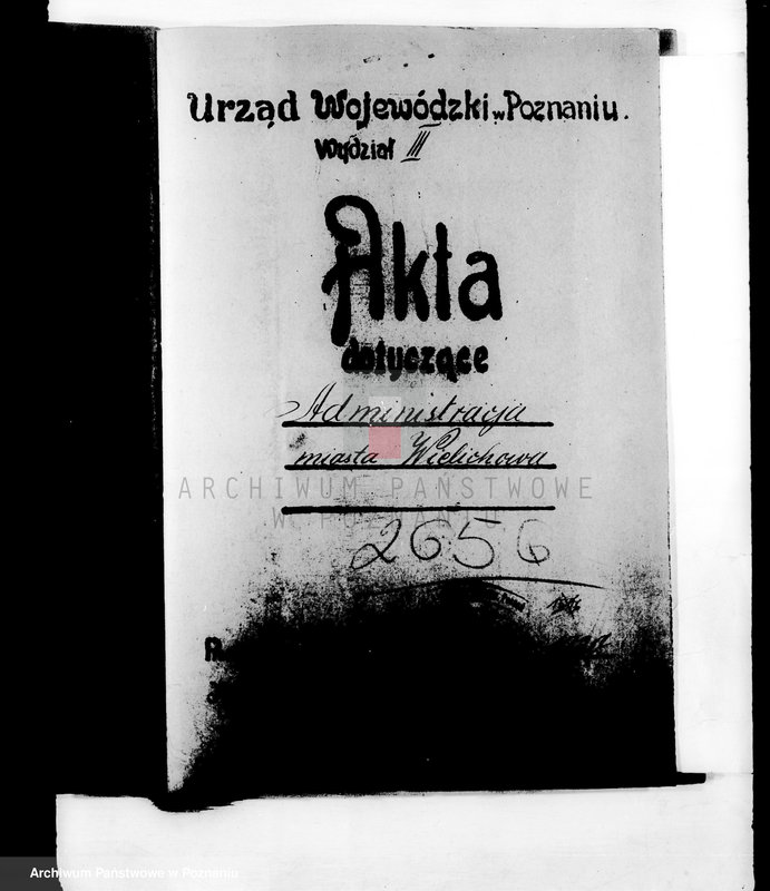 Obraz 4 z jednostki "Administracja miasta Wielichowa"