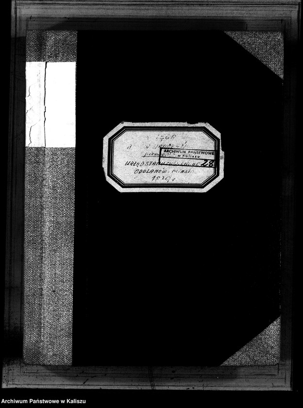 image.from.unit.number "[Księga urodzeń]"