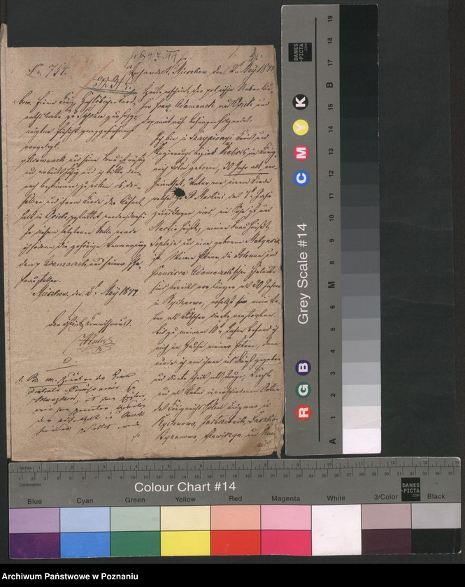 Obraz 4 z jednostki "A. betr. Personalia der polnischen Überläufer Franz und Sofia Adamczak /al. Gościniak, Adamiak/"