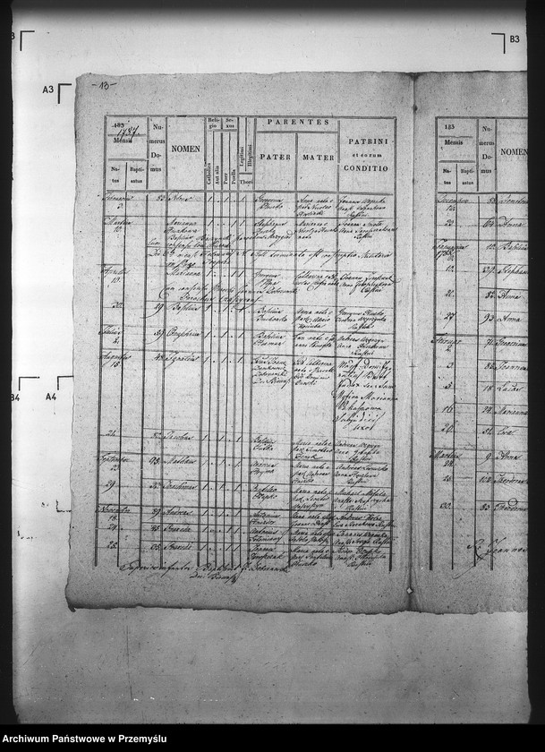 Obraz 17 z jednostki "[Kopie ksiąg metrykalnych parafii Trepcza (dekanat Sanok)]"