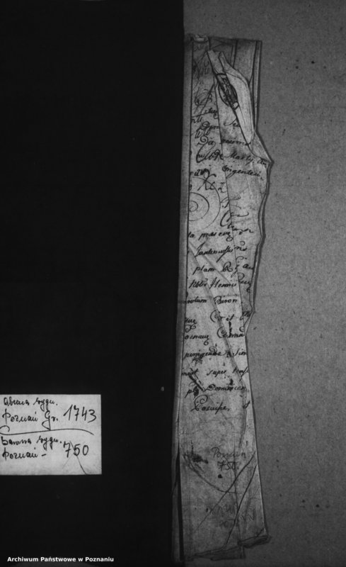 Obraz 4 z jednostki "Decreta officii [protocollon]"