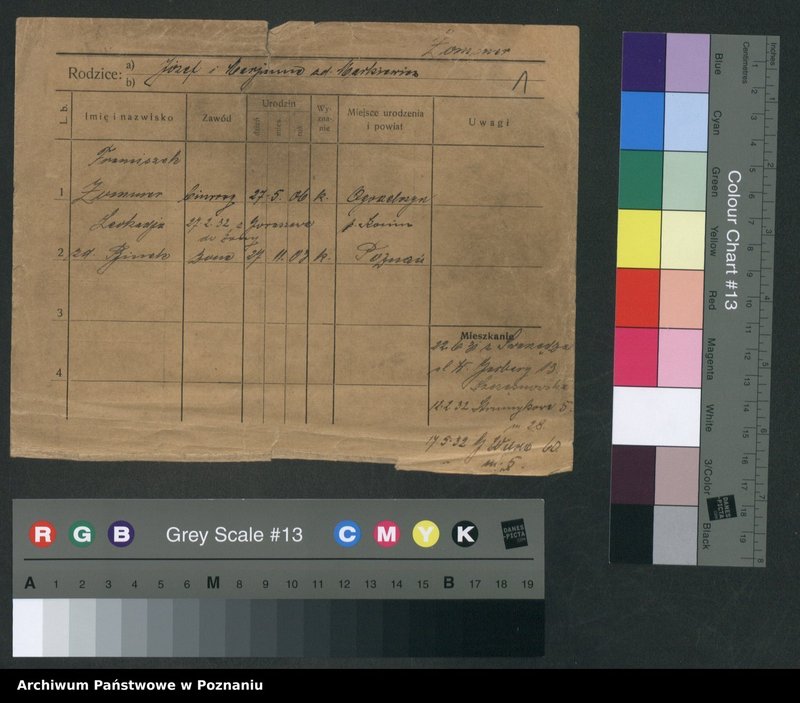 Obraz 3 z jednostki "Zommer - Żurawowicz"