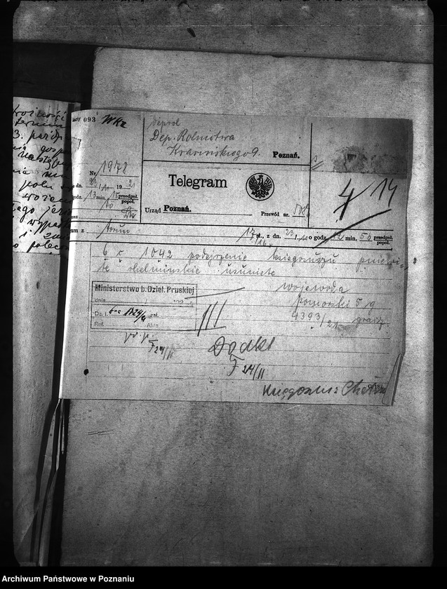 Obraz 19 z jednostki "Księgosusz - Chełmno"