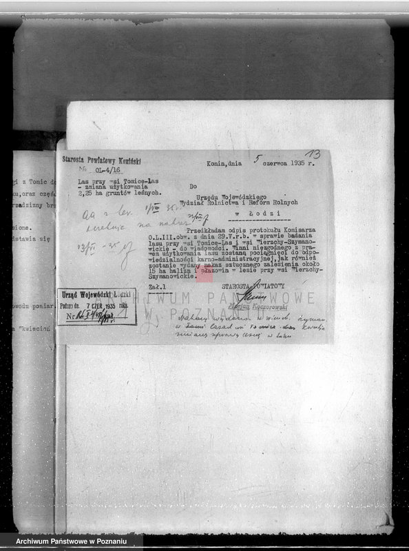 Obraz 17 z jednostki "Gmina Szyminowice powiat koniński /nadzór nad gospodarką leśną/"