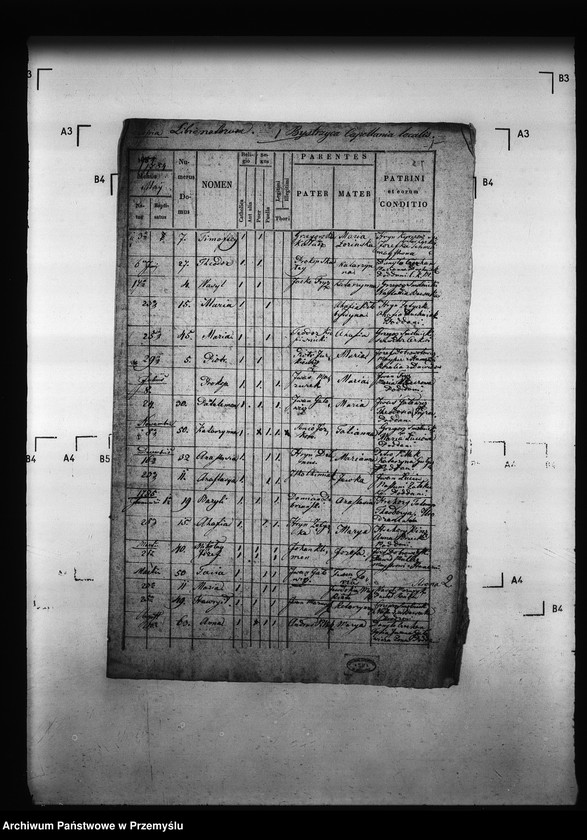 Obraz 4 z jednostki "[Kopie ksiąg metrykalnych parafii Bystrzyca (dekanat Podbuż)]"