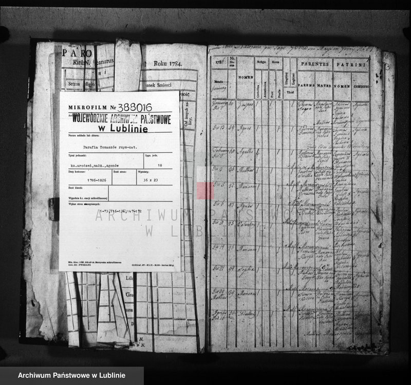 Obraz 3 z jednostki "Liber natorum matrimonium et sepultorum pro villa Górno seu Majdan Górny"