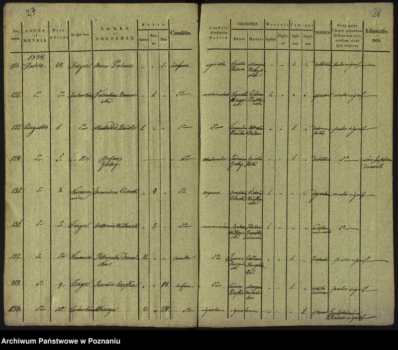 Obraz 17 z jednostki "Księga zgonów"