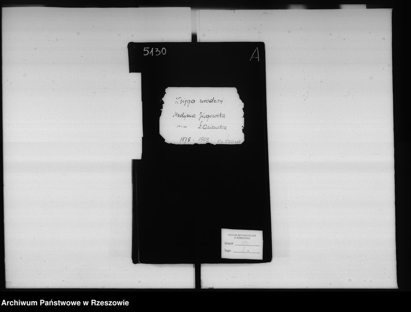 image.from.unit.number "Księga urodzeń Medynia Głogowska i Medynia Łańcucka"