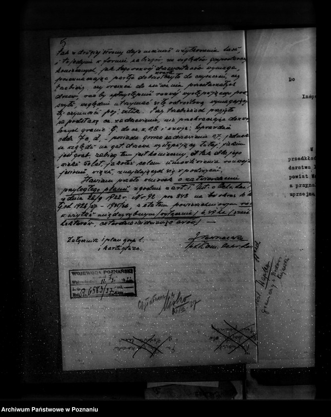 Obraz 9 z jednostki "Majętność leśna Stołężyn powiat wągrowiecki"