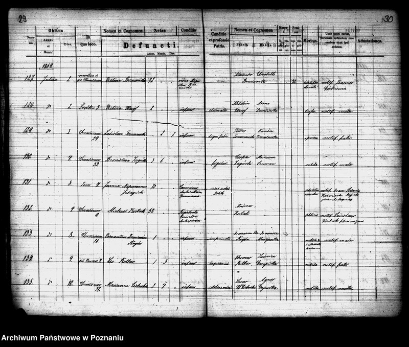 Obraz 16 z jednostki "Księga zgonów"