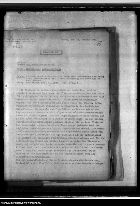 Obraz 19 z jednostki "Einfuhr von Tieren aus den besetzten Ostgebieten - auch der Schwarzmeerdeutschen"