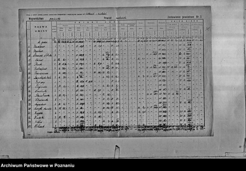 Obraz 8 z jednostki "/Statystyka produkcji rolnej - zestawienie powiatowe - Szubin"