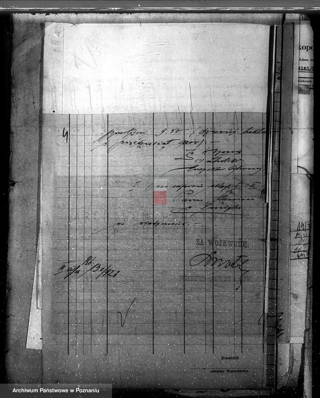 Obraz 8 z jednostki "Nadzór nad gospodarką w lasach majątku Ujazd powiat kościański"