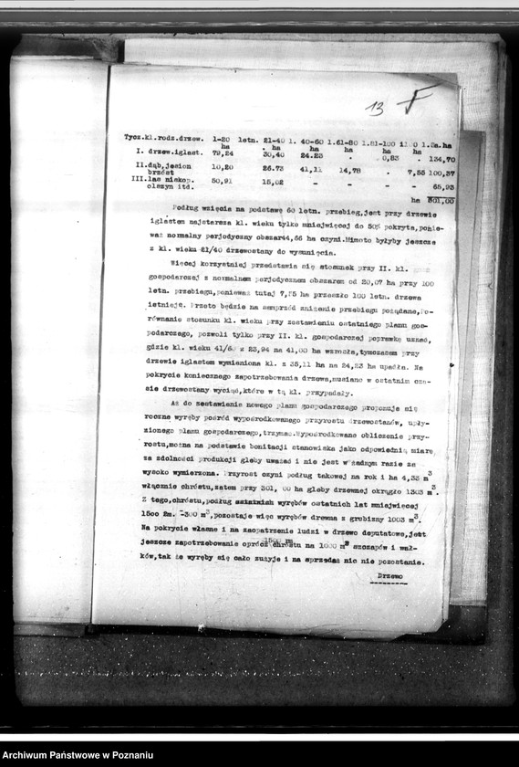 Obraz 17 z jednostki "Majętność leśna Smolice w powiecie gostyńskim"