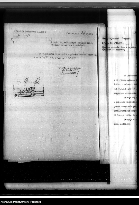 Obraz 13 z jednostki "Majątek Opatówek powiat kaliski sprawy leśne"