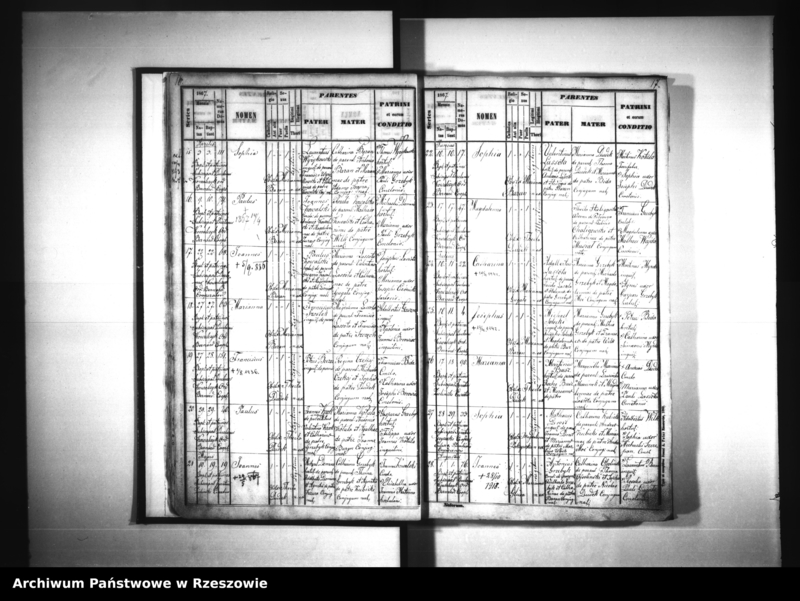 image.from.unit.number "Księga urodzeń - Siedliska"