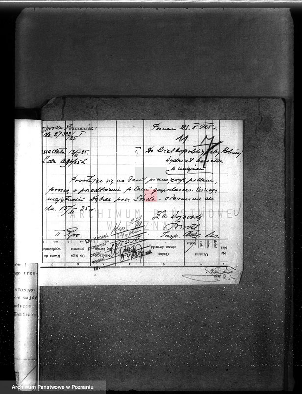 Obraz 15 z jednostki "Nadzór nad gospodarką w lasach majętności Dębicz powiat średzki"