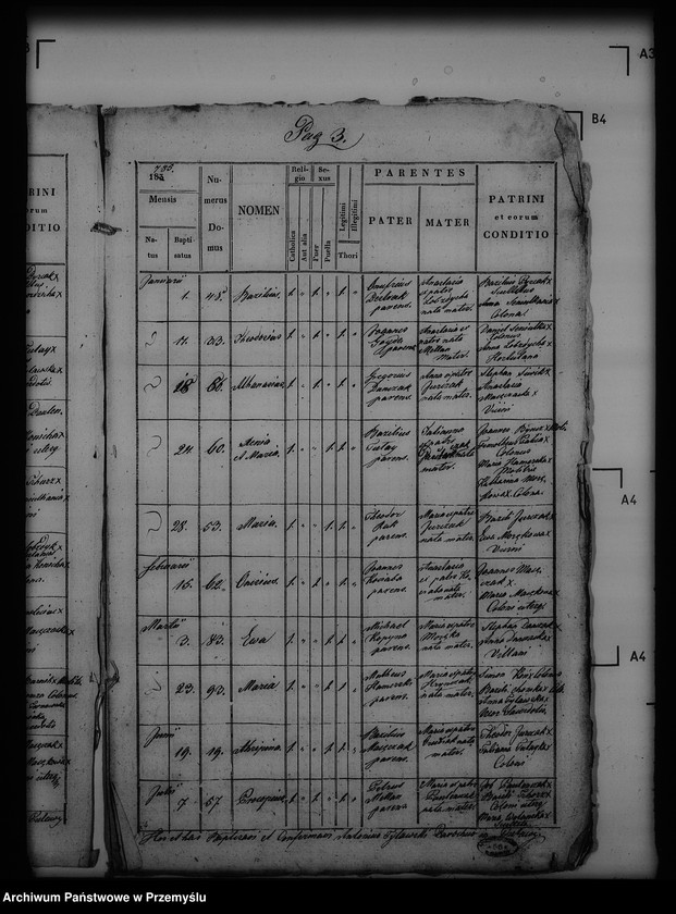 Obraz 7 z jednostki "[Kopie ksiąg metrykalnych parafii Puławy (dekanat Buków)]"