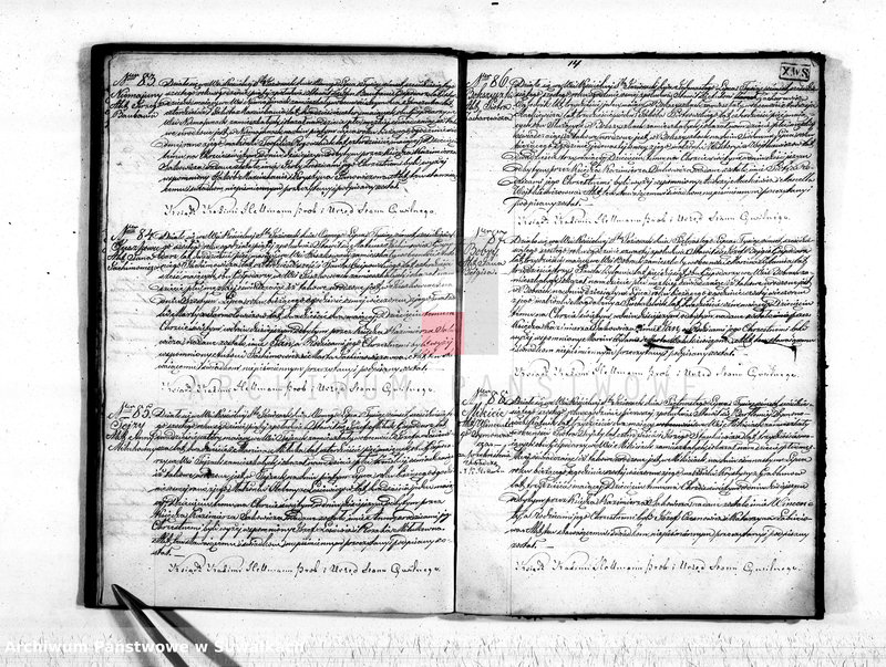 Obraz 16 z jednostki "Akta stanu cywilnego parafij Św. Jeziorskiej urodzonych, zaślubionych i umarłych z roku 1866"