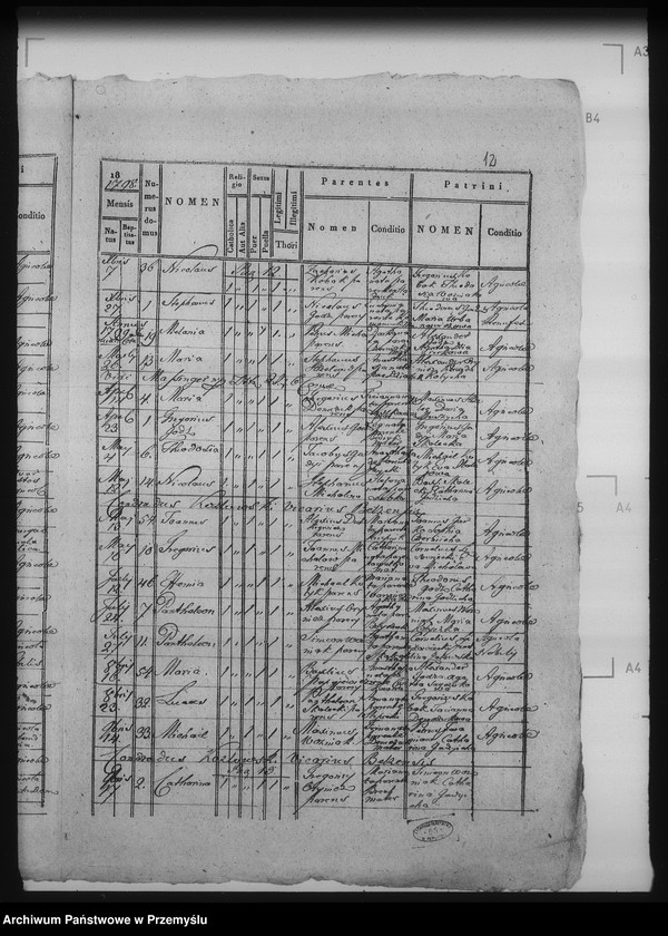 Obraz 16 z jednostki "[Kopie ksiąg metrykalnych parafii Bełz z filiami Prusinów, Tuszków, Witków (dekanat Bełz)]"