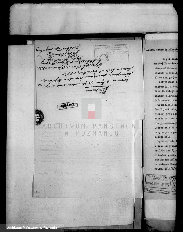 Obraz 18 z jednostki "Majątek Kosztowo powiatu wyrzyskiego przymusowy wykup"