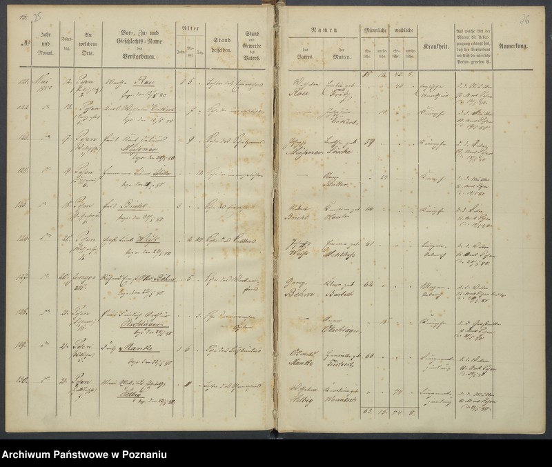 Obraz 16 z jednostki "Sterbenbuch"