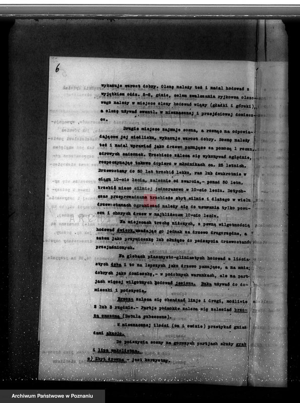 Obraz 10 z jednostki "Plan urządzania gospodarstwa leśnego dla lasu majętności Gorzyczki powiat kościański"