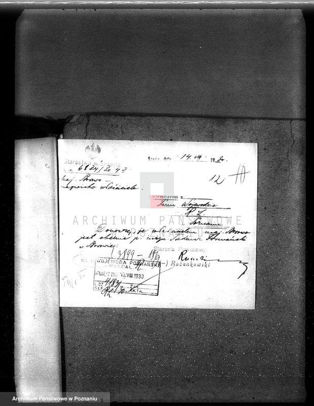 Obraz 16 z jednostki "Nadzór nad gospodarką w lasach majętności Borowo powiat średzki"