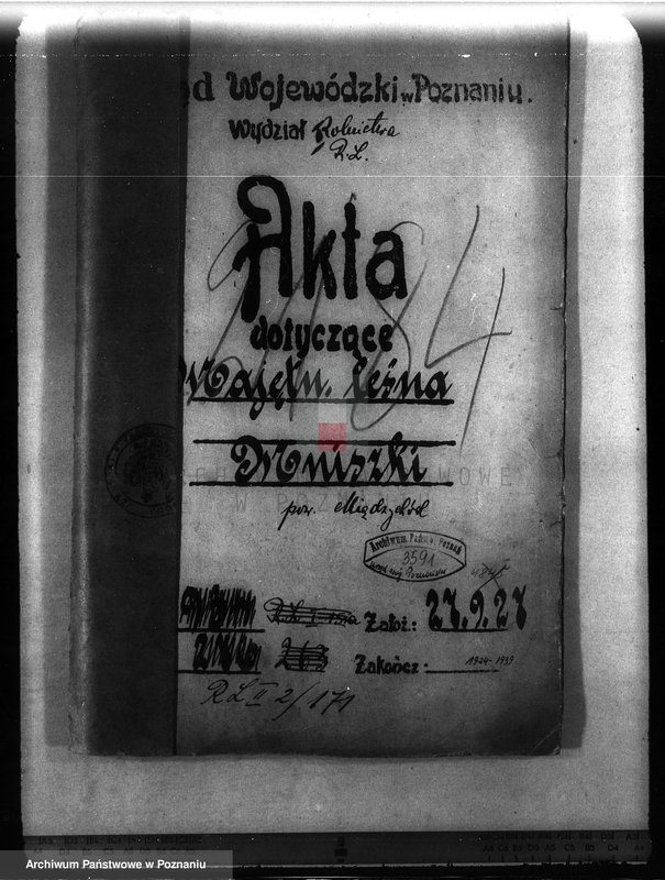 Obraz 4 z jednostki "Majętność leśna Mniszki w powiecie międzychodzkim"