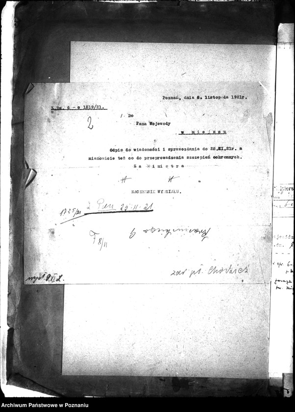 Obraz 6 z jednostki "Zaraza płucna - Międzychód"