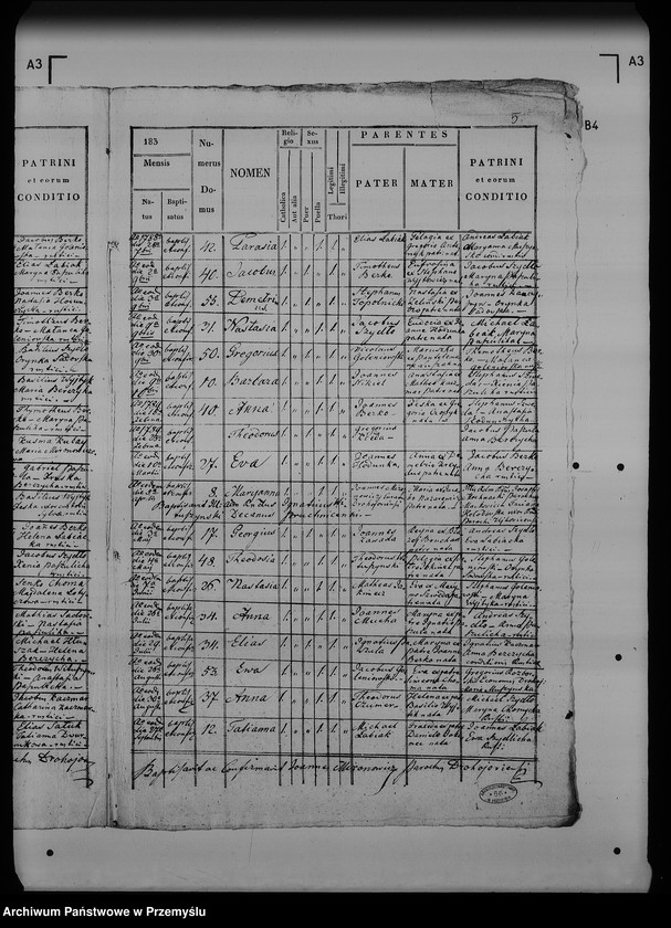 image.from.unit.number "[Kopie ksiąg metrykalnych parafii Drohojów z filiami Hnatkowice, Trójczyce, Zabłotce (dekanat Radymno)]"