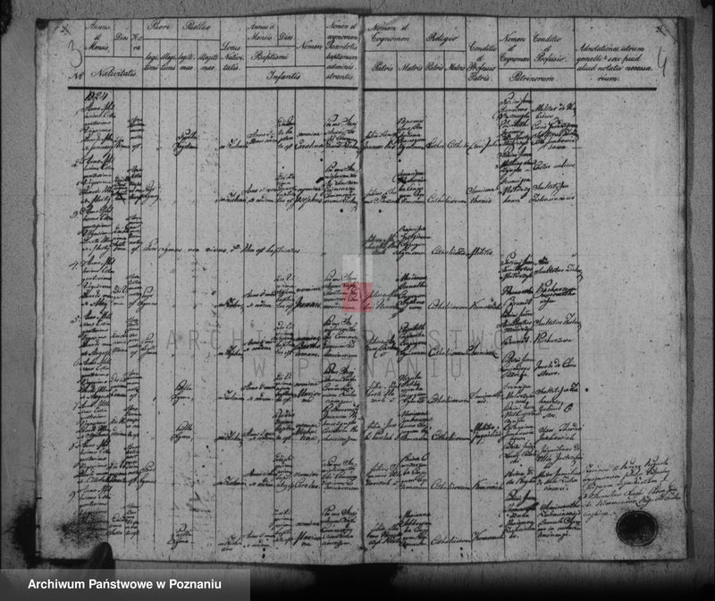 Obraz 5 z jednostki "Liber baptisatorum, copulatorum, mortuorum"