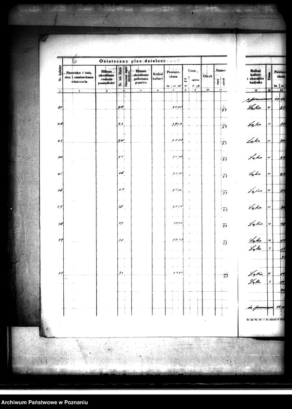 Obraz 10 z jednostki "Ostateczny plan dzielczy i nowy kataster majątku Trzcinica powiatu kępińskiego parcelacja prywatna"