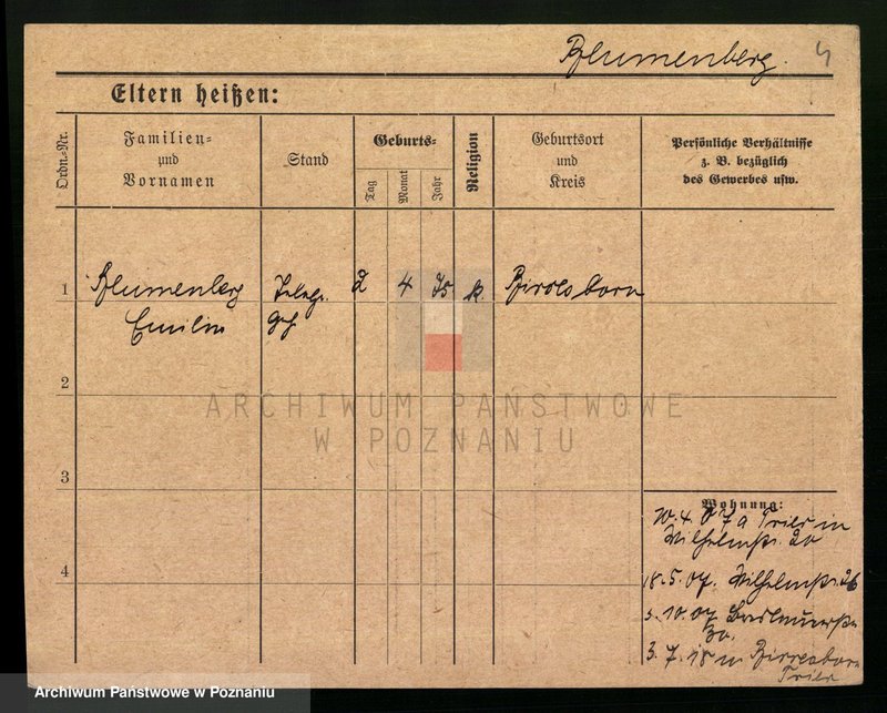 Obraz 6 z jednostki "Blumenau - Boch"