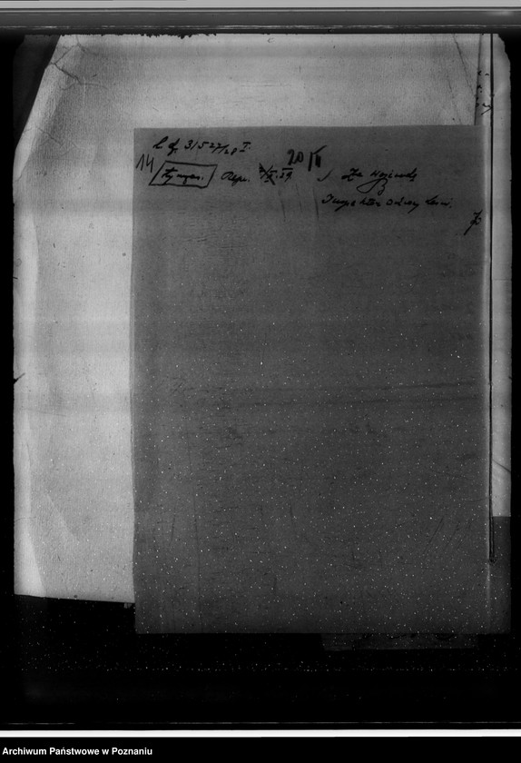 Obraz 18 z jednostki "Nadzór nad gospodarką w lasach majętności Jezierzyce"